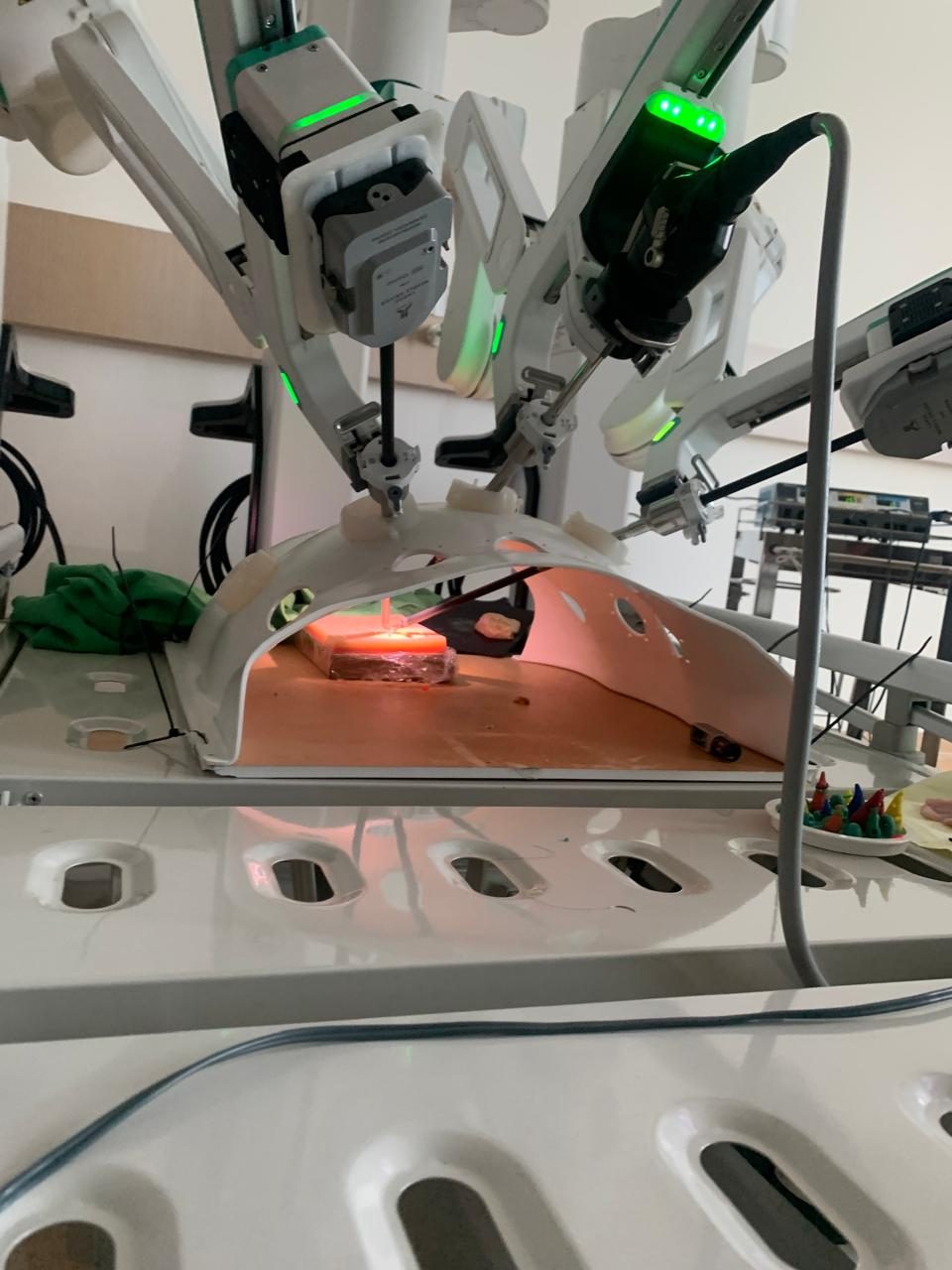 Instrumen lengan robotik dari dekat